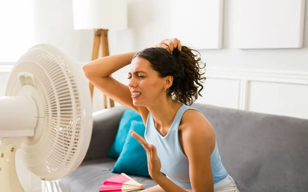 As Vagas de Calor Estão a Chegar: O que Pode Fazer Agora para Não Sofrer em Casa este Verão